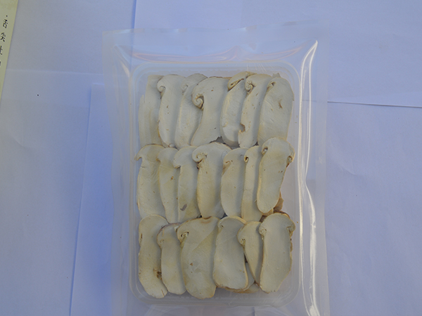 凍干松茸片